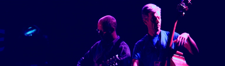 Juice Ceilidh Band:  Danny KilBride (Guitar), Dean Ryan (Bass)